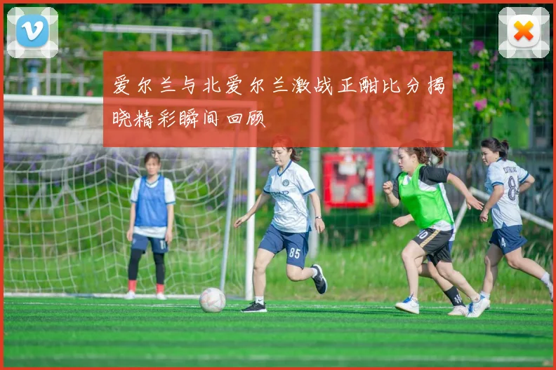 爱尔兰与北爱尔兰激战正酣比分揭晓精彩瞬间回顾