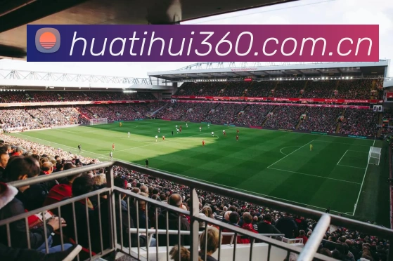 App Interface Preview